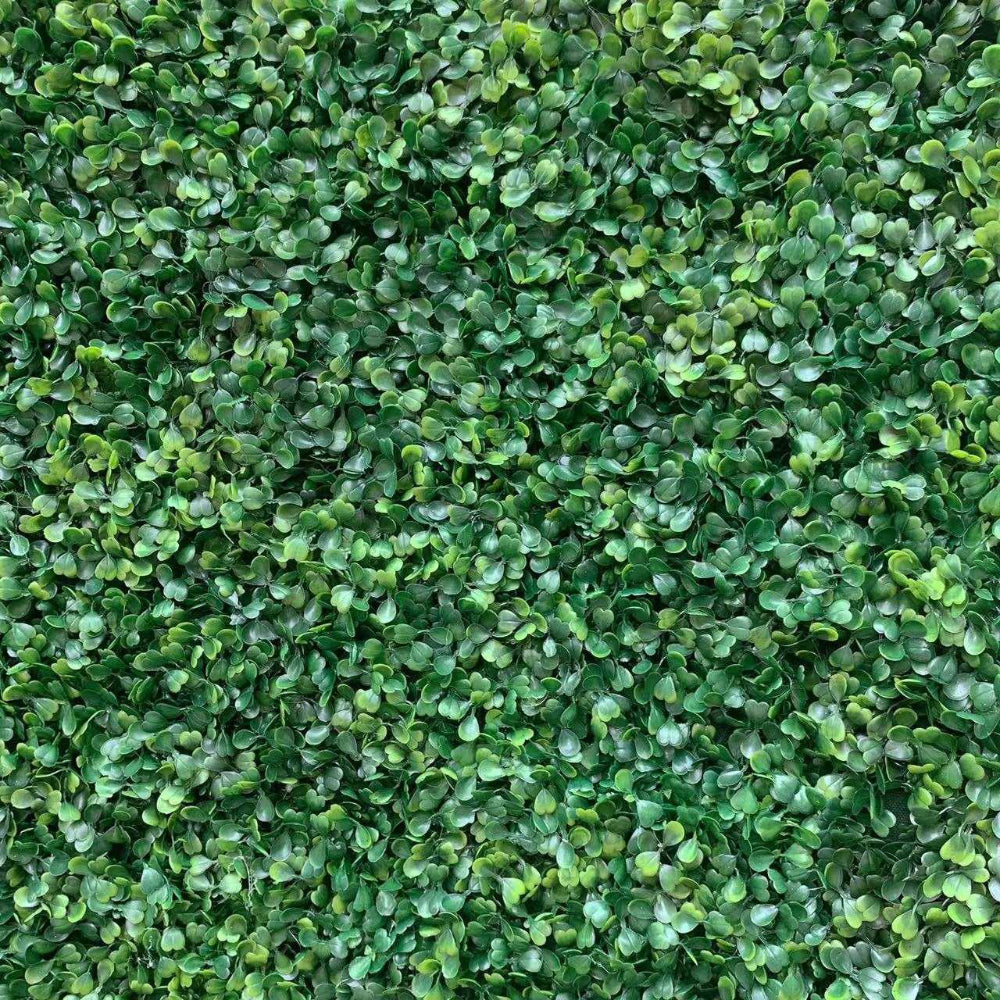 Boxwood Grass Wall Backdrop